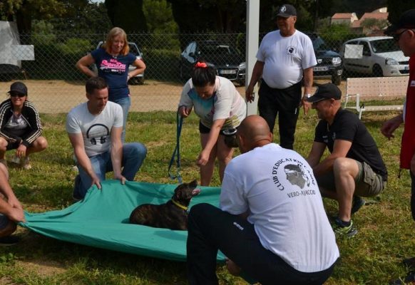 31959635_487826064965676_9196385361469636608_n