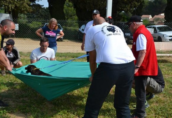 32105649_487826944965588_6143209345443168256_n