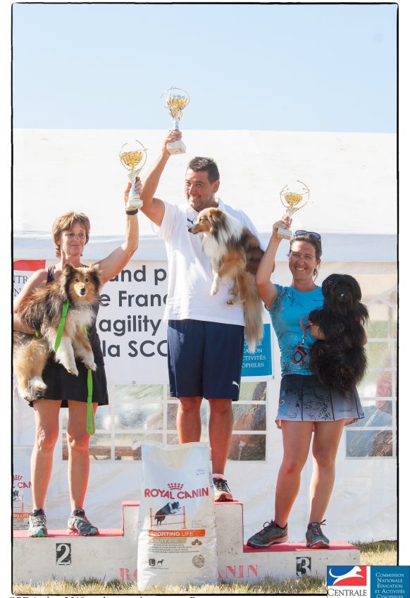 Master – Catégorie B