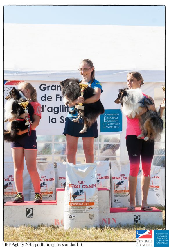 Standard – Catégorie B