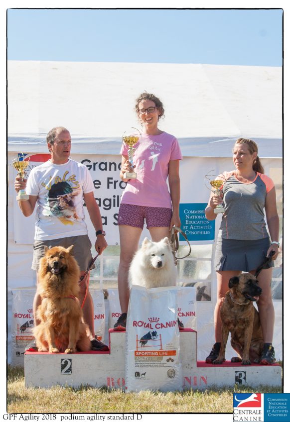 Standard – Catégorie D