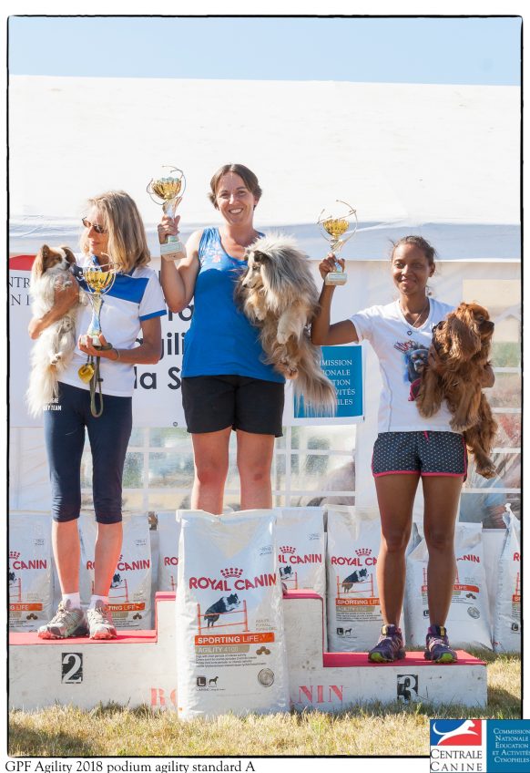 Standard – Catégorie A