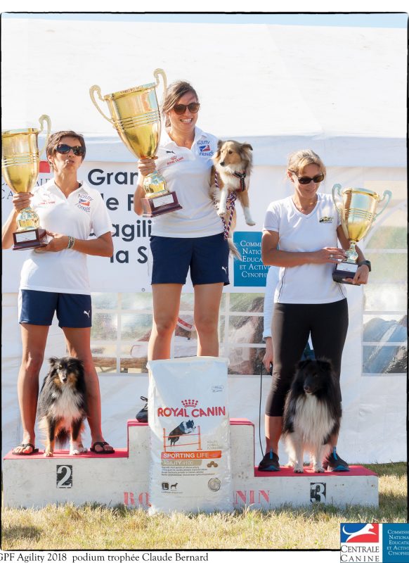 Super-finale – Catégories ABD