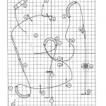 Agility D-B Manche 1 Térèsa