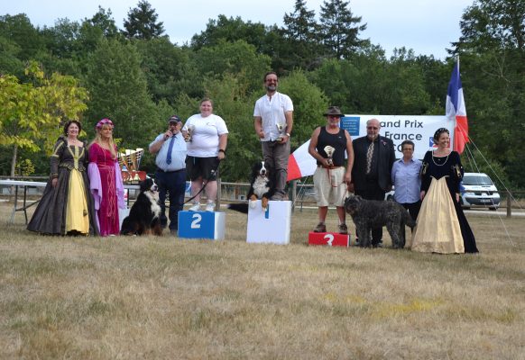 Podium obstacles classe 1