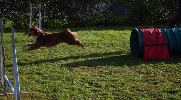 i282600889656805084._szw1280h1280_