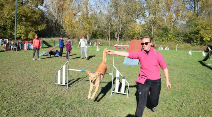 i282600889656805098._szw1280h1280_