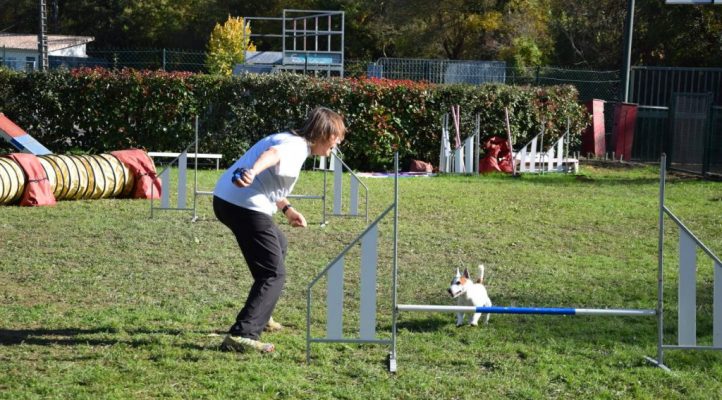 i282600889656805126._szw1280h1280_