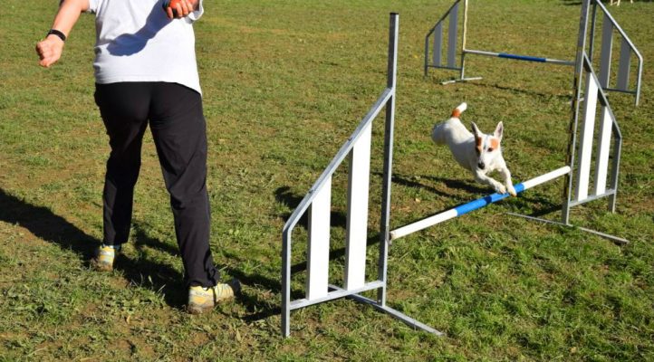 i282600889656805137._szw1280h1280_