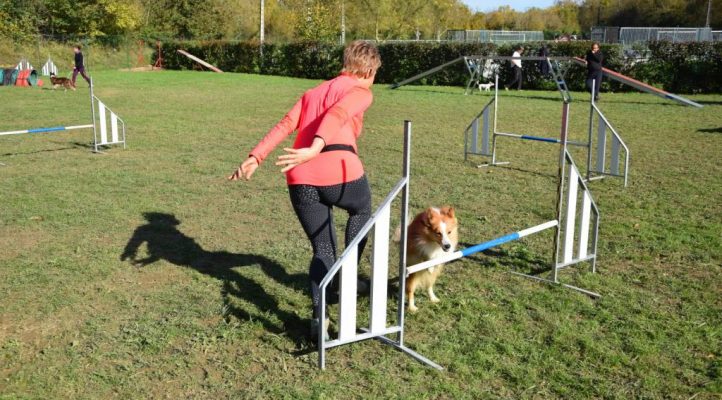 i282600889656805157._szw1280h1280_