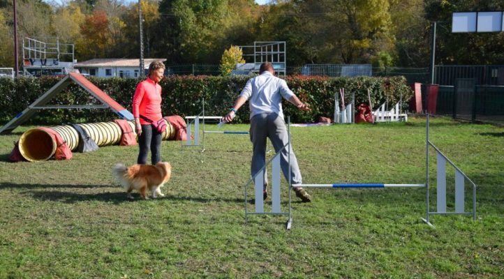 i282600889656805167._szw1280h1280_