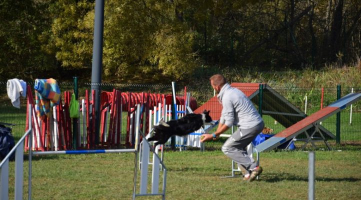 i282600889656805193._szw1280h1280_