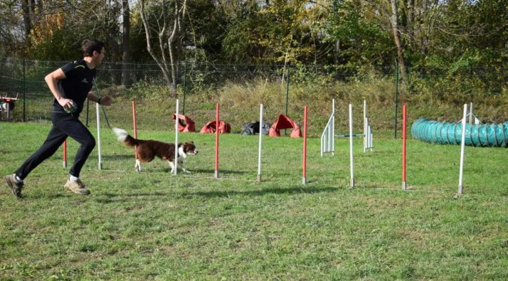 i282600889656805207._szw1280h1280_