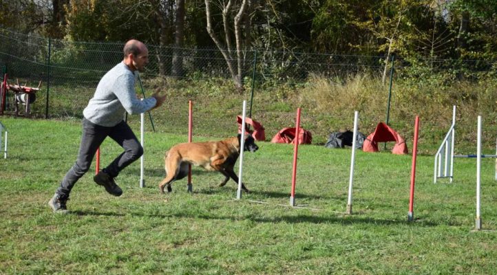 i282600889656805223._szw1280h1280_