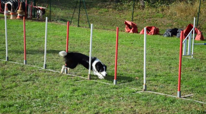 i282600889656805239._szw1280h1280_