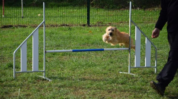 i282600889656805246._szw1280h1280_