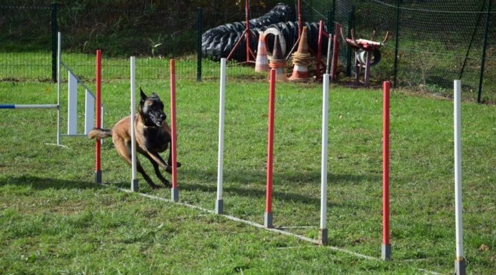 i282600889656805256._szw1280h1280_