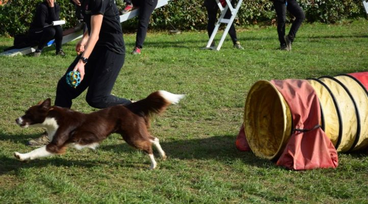 i282600889656805263._szw1280h1280_