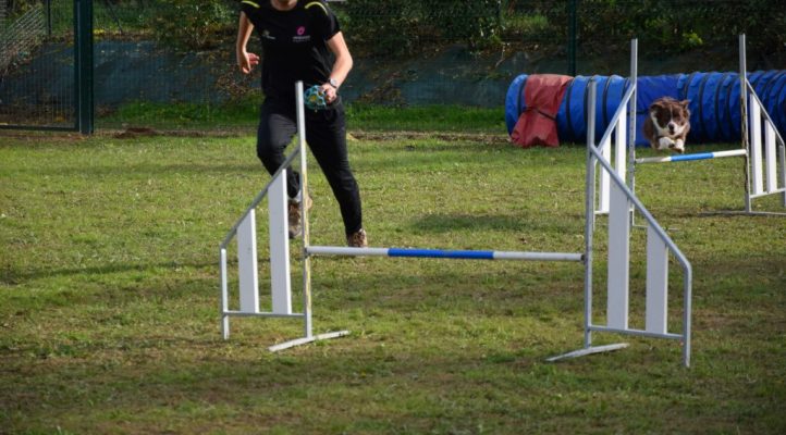 i282600889656805279._szw1280h1280_