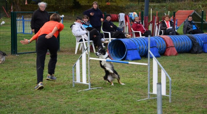 i282600889656805282._szw1280h1280_