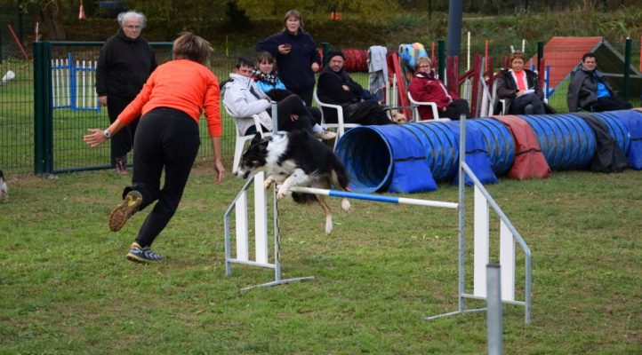 i282600889656805292._szw1280h1280_