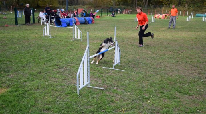 i282600889656805302._szw1280h1280_