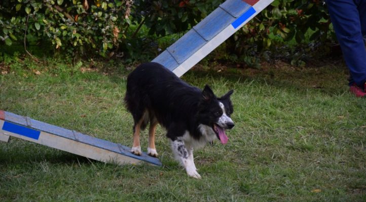 i282600889656805323._szw1280h1280_