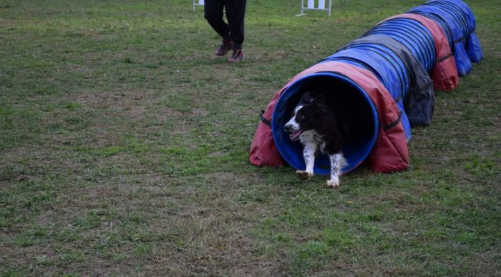 i282600889656805336._szw1280h1280_