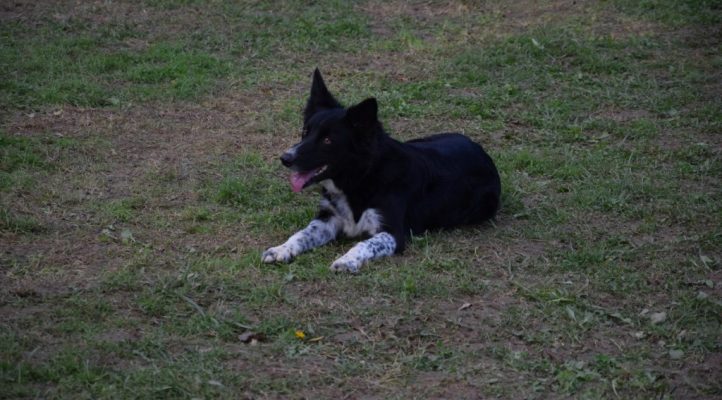 i282600889656805347._szw1280h1280_