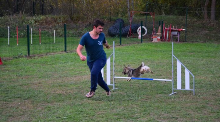 i282600889656805383._szw1280h1280_