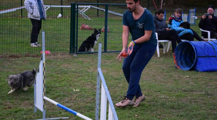 i282600889656805389._szw1280h1280_