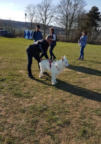 20190217_145734_resized