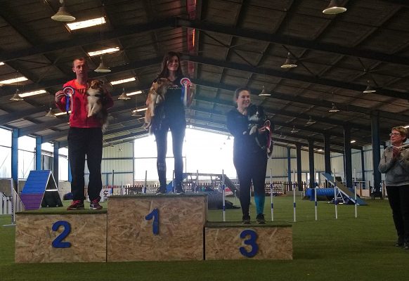 34,35,247,270.709442