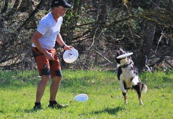 53806302_2316171485306985_594323602891866112_n