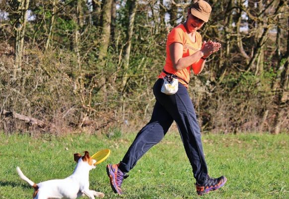 54727523_2316171298640337_6044758932558184448_n