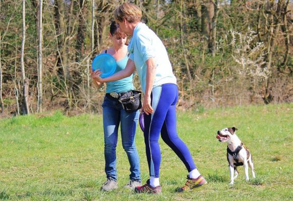 54729532_2316177458639721_18521926204915712_n