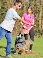 55498135_2316171098640357_6286478442141581312_n