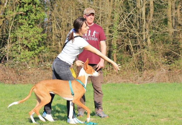 55769927_2316179111972889_8468366620723511296_n