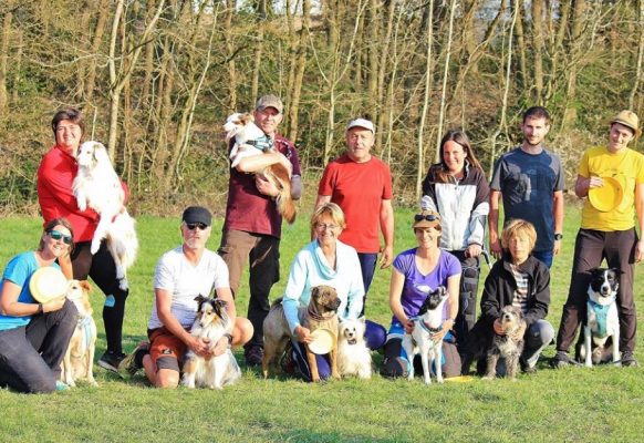 55795279_2316179415306192_1215412604453781504_n