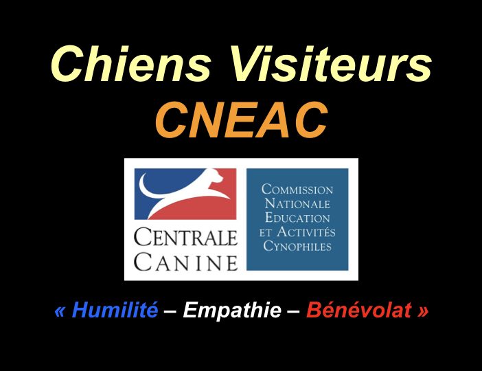 Diaporama-chiens-visiteurs-Site.001