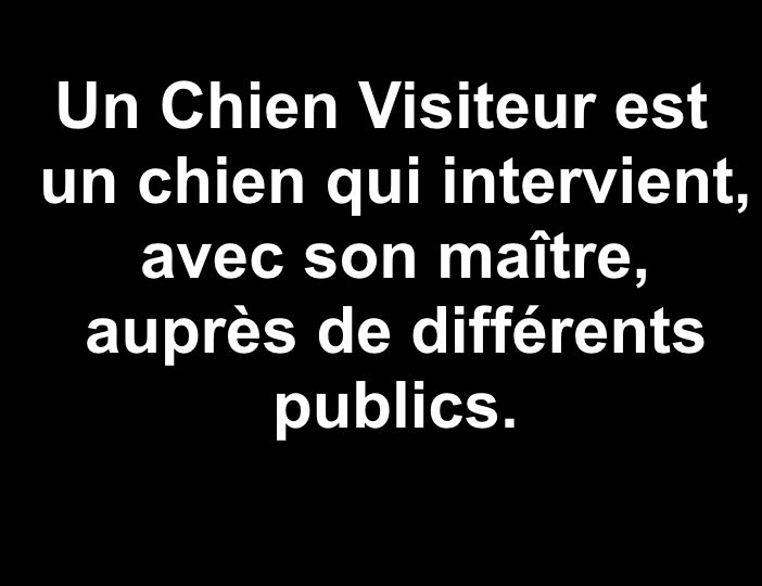 Diaporama-chiens-visiteurs-Site.002