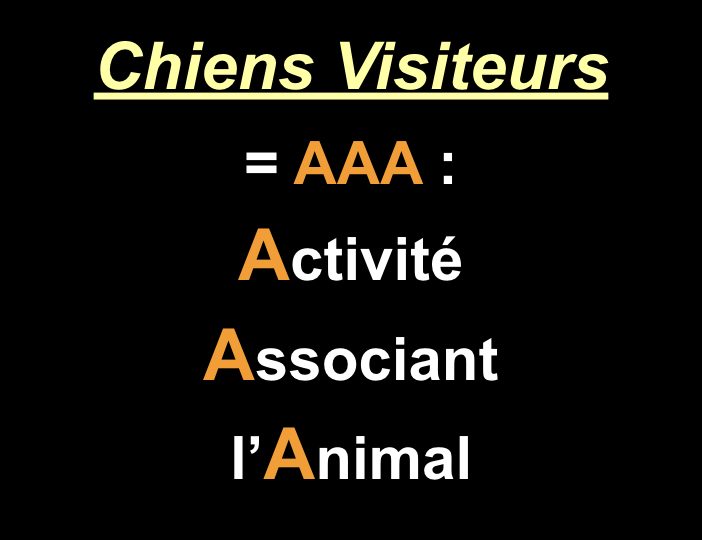 Diaporama-chiens-visiteurs-Site.004