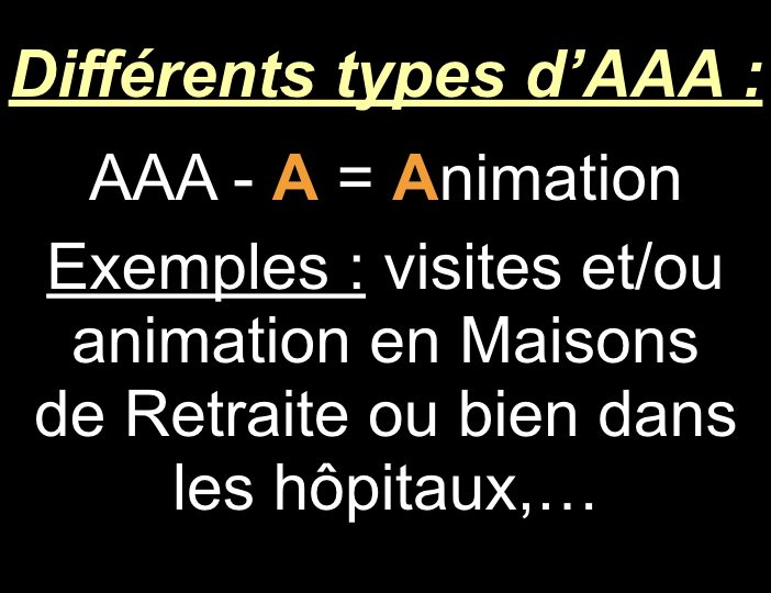 Diaporama-chiens-visiteurs-Site.005