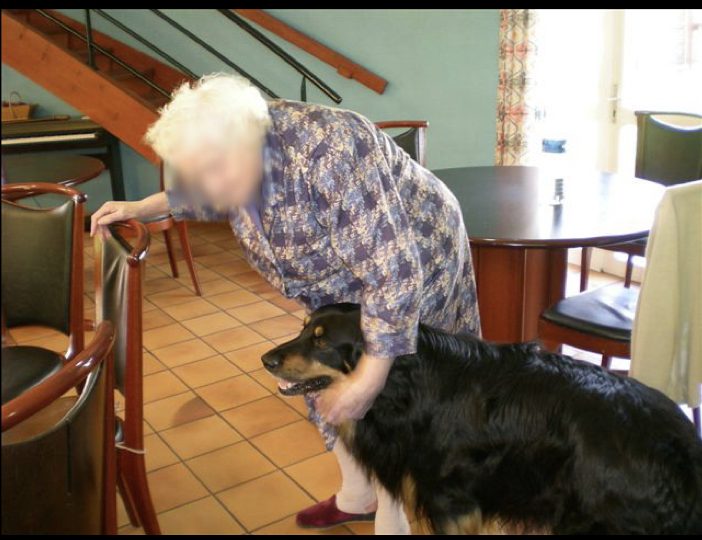 Diaporama-chiens-visiteurs-Site.006