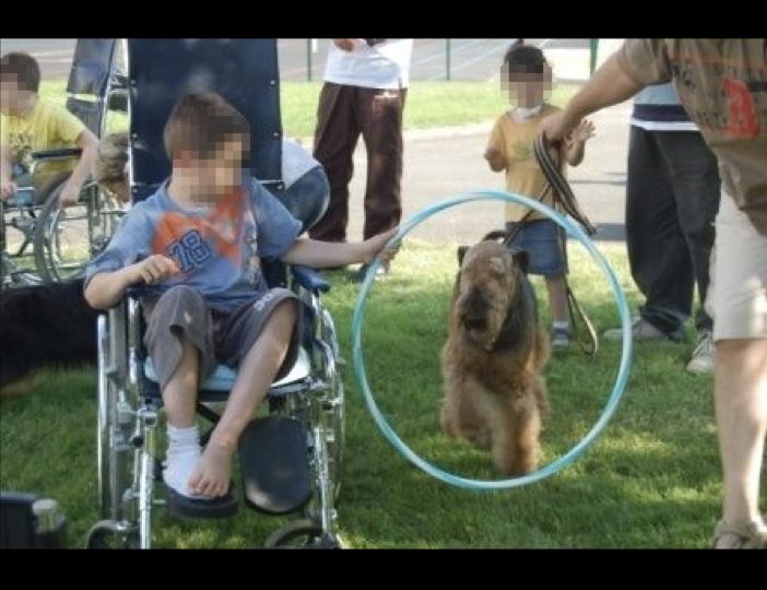 Diaporama-chiens-visiteurs-Site.007