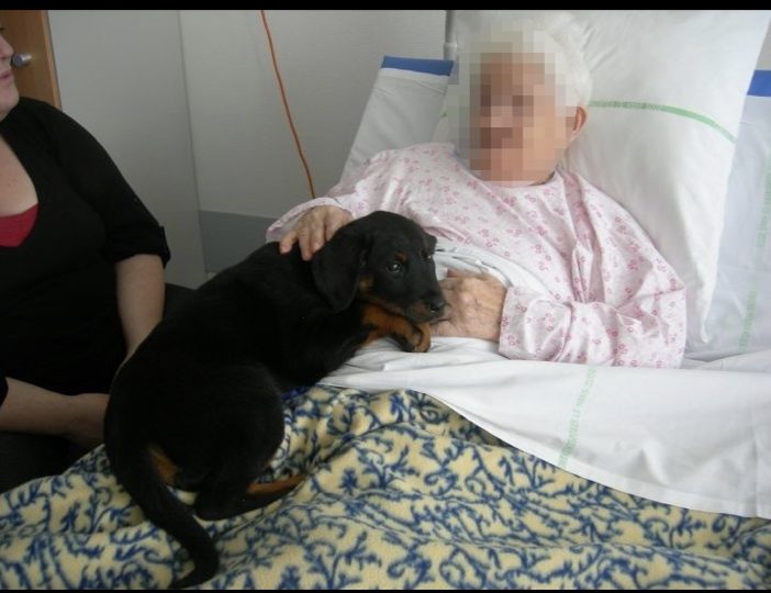 Diaporama-chiens-visiteurs-Site.008