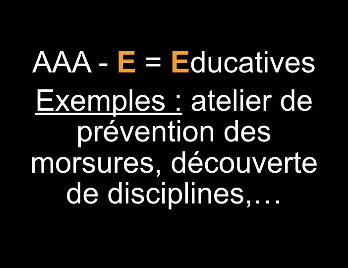 Diaporama-chiens-visiteurs-Site.009