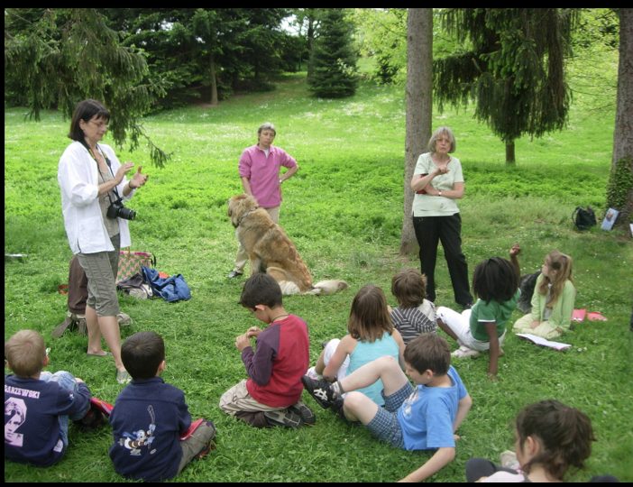 Diaporama-chiens-visiteurs-Site.010