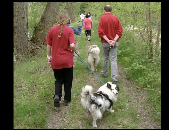 Diaporama-chiens-visiteurs-Site.016