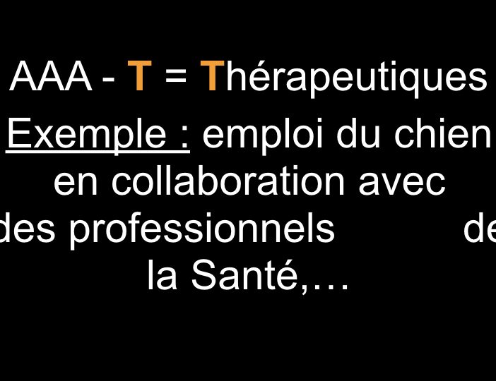 Diaporama-chiens-visiteurs-Site.018